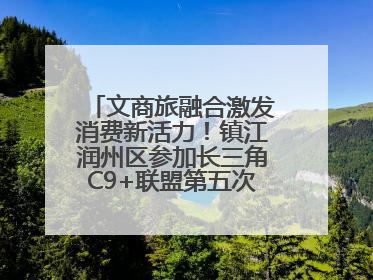 文商旅融合激发消费新活力！镇江润州区参加长三角C9+联盟第五次联席会议