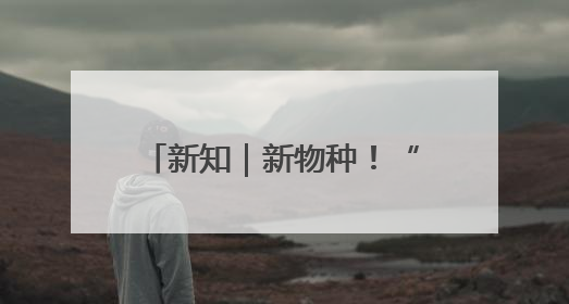 新知｜新物种！“天宫”里惊现“太空六边形战士”