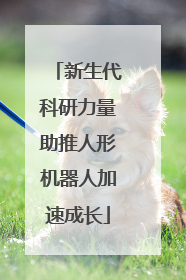 新生代科研力量助推人形机器人加速成长