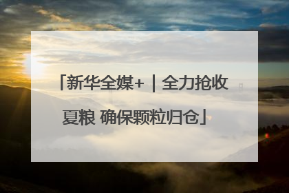 新华全媒+｜全力抢收夏粮 确保颗粒归仓
