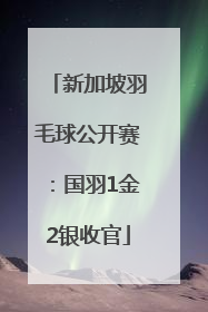 新加坡羽毛球公开赛：国羽1金2银收官