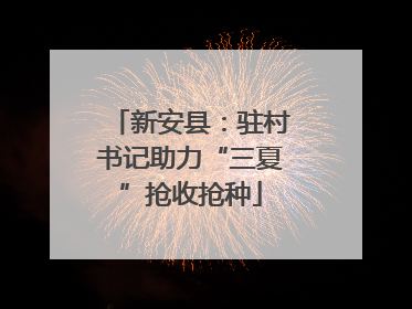 新安县：驻村书记助力“三夏”抢收抢种