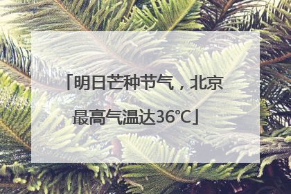 明日芒种节气，北京最高气温达36℃