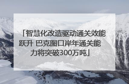 智慧化改造驱动通关效能跃升 巴克图口岸年通关能力将突破300万吨