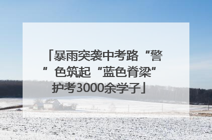 暴雨突袭中考路“警”色筑起“蓝色脊梁”护考3000余学子