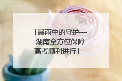 暴雨中的守护——湖南全方位保障高考顺利进行