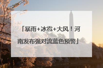 暴雨+冰雹+大风！河南发布强对流蓝色预警
