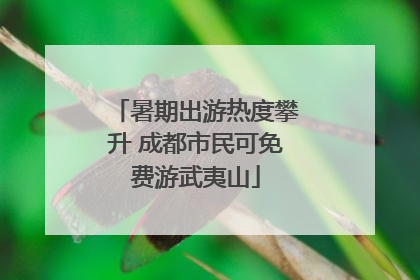 暑期出游热度攀升 成都市民可免费游武夷山