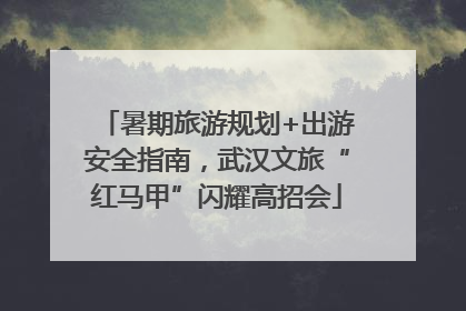 暑期旅游规划+出游安全指南，武汉文旅“红马甲”闪耀高招会