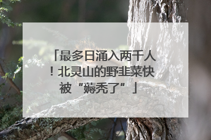 最多日涌入两千人！北灵山的野韭菜快被“薅秃了”