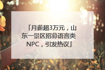 月薪超3万元，山东一景区招募语言类NPC，引发热议