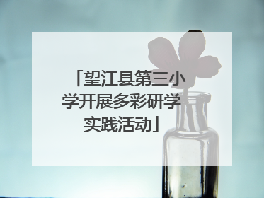 望江县第三小学开展多彩研学实践活动