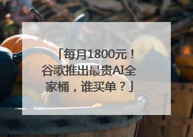每月1800元！谷歌推出最贵AI全家桶，谁买单？