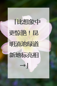 比想象中更惊艳！昆明滇池绿道新地标亮相→