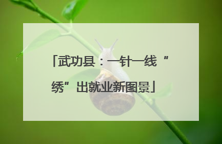 武功县：一针一线“绣”出就业新图景