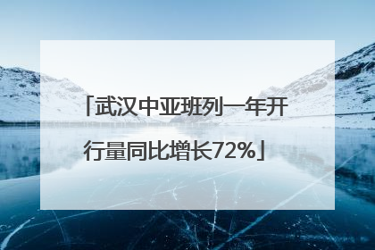武汉中亚班列一年开行量同比增长72%