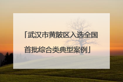 武汉市黄陂区入选全国首批综合类典型案例