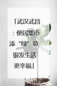 武汉武昌：便民集市添“绿”意 银发生活更幸福