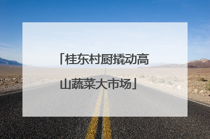 桂东村厨撬动高山蔬菜大市场