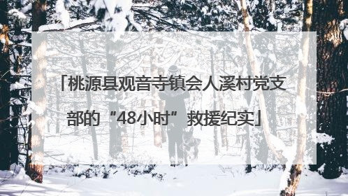 桃源县观音寺镇会人溪村党支部的“48小时”救援纪实