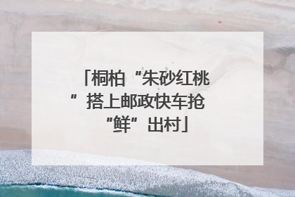 桐柏“朱砂红桃”搭上邮政快车抢“鲜”出村