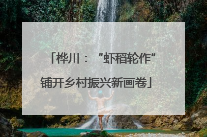 桦川：“虾稻轮作”铺开乡村振兴新画卷