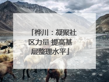 桦川：凝聚社区力量 提高基层整理水平