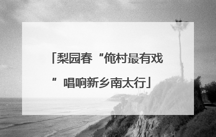 梨园春“俺村最有戏”唱响新乡南太行