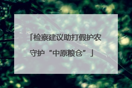 检察建议助打假护农守护“中原粮仓”