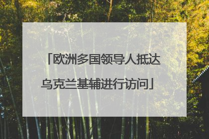 欧洲多国领导人抵达乌克兰基辅进行访问