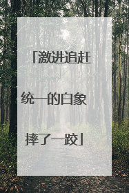 激进追赶统一的白象摔了一跤