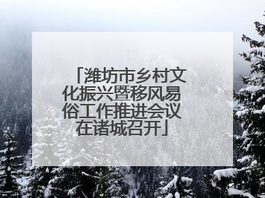 潍坊市乡村文化振兴暨移风易俗工作推进会议在诸城召开