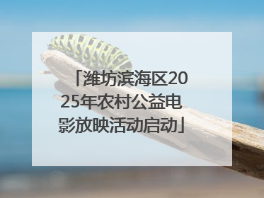 潍坊滨海区2025年农村公益电影放映活动启动