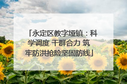 永定区教字垭镇：科学调度 干群合力 筑牢防洪抢险坚固防线
