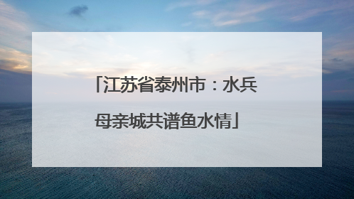 江苏省泰州市：水兵母亲城共谱鱼水情