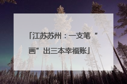 江苏苏州：一支笔“画”出三本幸福账