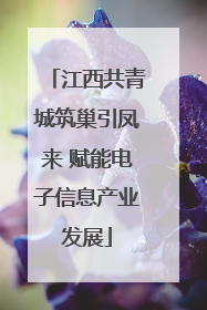 江西共青城筑巢引凤来 赋能电子信息产业发展