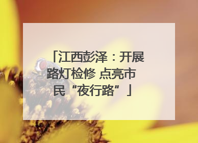 江西彭泽：开展路灯检修 点亮市民“夜行路”
