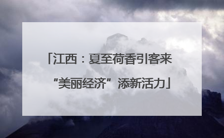 江西：夏至荷香引客来 “美丽经济”添新活力