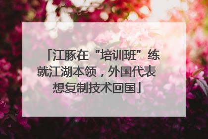 江豚在“培训班”练就江湖本领，外国代表想复制技术回国