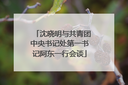 沈晓明与共青团中央书记处第一书记阿东一行会谈