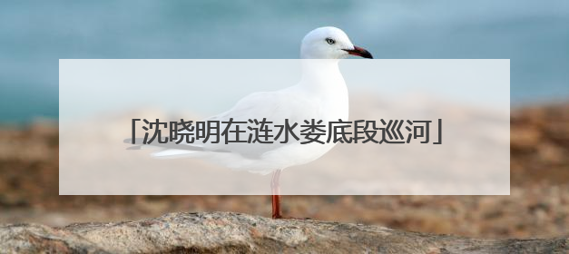 沈晓明在涟水娄底段巡河