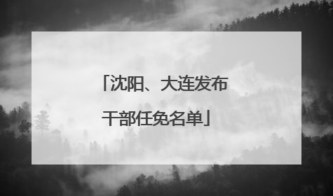 沈阳、大连发布干部任免名单