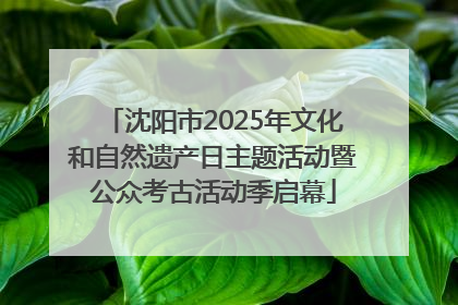 沈阳市2025年文化和自然遗产日主题活动暨公众考古活动季启幕