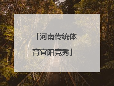 河南传统体育宜阳竞秀