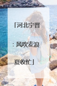 河北宁晋：风吹麦浪夏收忙