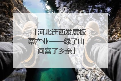 河北迁西发展板栗产业——绿了山间富了乡亲