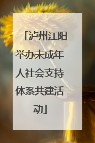 泸州江阳举办未成年人社会支持体系共建活动
