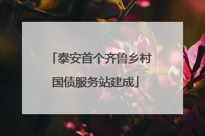 泰安首个齐鲁乡村国债服务站建成