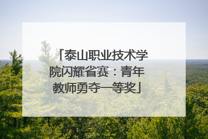 泰山职业技术学院闪耀省赛：青年教师勇夺一等奖